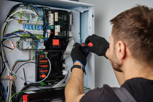 Licensed Electrical Panel Upgrade service in Denton, MD - No Joke electrician